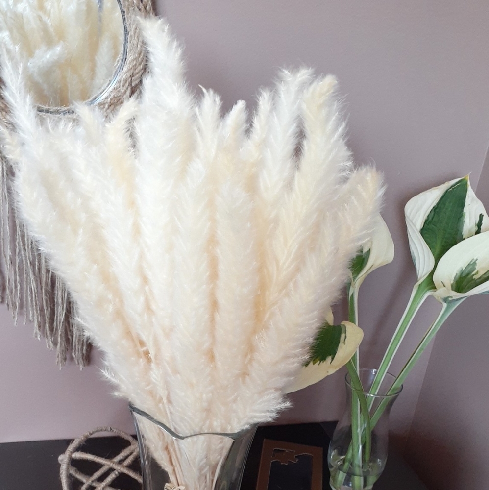 REAL Dried Pampas Flowers!!40 Stems!Wedding Centerpiece.. Wreath - Picture 3 of 8